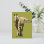 Carte Postale Palomino Horse (Debout devant)