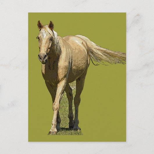 Carte Postale Palomino Horse (Devant)