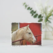Carte Postale Palomino Horse Red Grange (Debout devant)