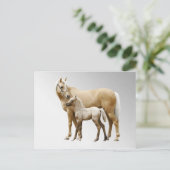 Carte Postale Palomino Mare & Foie (Debout devant)