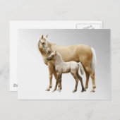 Carte Postale Palomino Mare & Foie (Devant / Derrière)