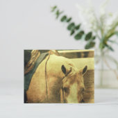 Carte Postale Palomino occidental (Debout devant)