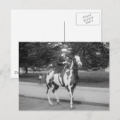 Carte Postale Palomino Pony, 1915 (Devant / Derrière)