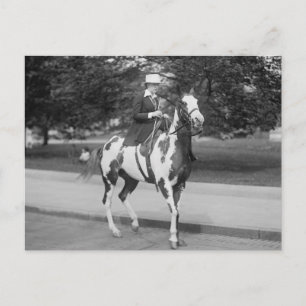 Carte Postale Palomino Pony, 1915