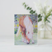 Carte Postale Palomino Princess (Debout devant)