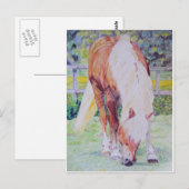 Carte Postale Palomino Princess (Devant / Derrière)