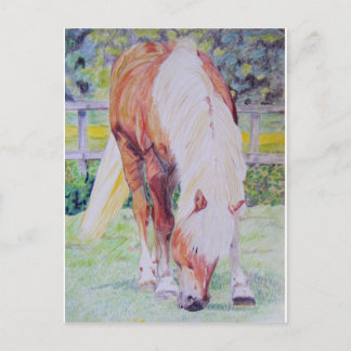 Carte Postale Palomino Princess