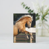 Carte Postale Palomino Tennessee Walker Stallion Rearing (Debout devant)