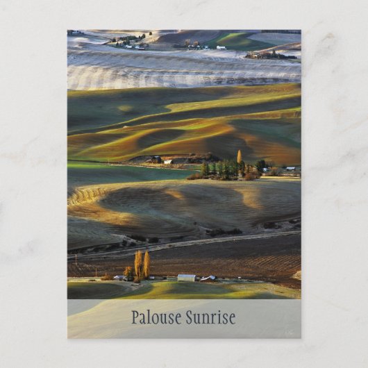 Carte Postale Palouse Sunrise (Devant)