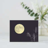Carte Postale Pampas japonais Grass 2 (Debout devant)