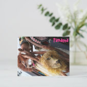 Carte Postale Panama (Debout devant)