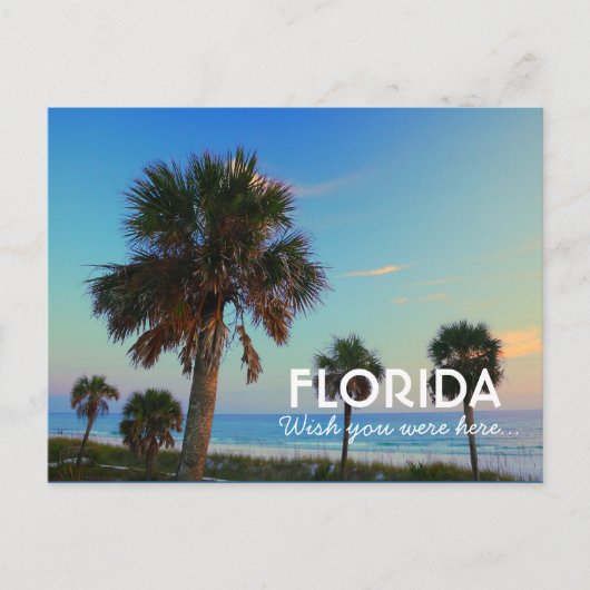 Carte Postale Panama City Beach, Floride Souhaitez Que Vous Étie (Devant)