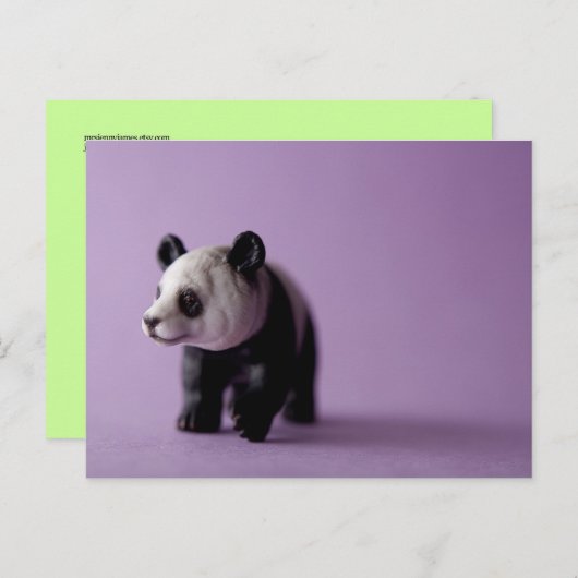 Carte postale Panda (Devant / Derrière)