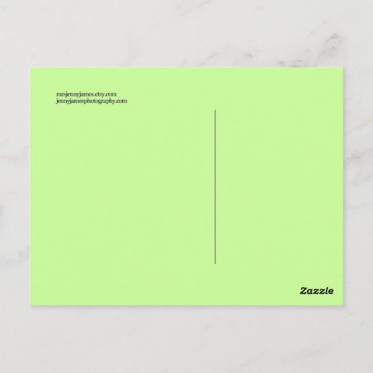 Carte postale Panda (Dos)