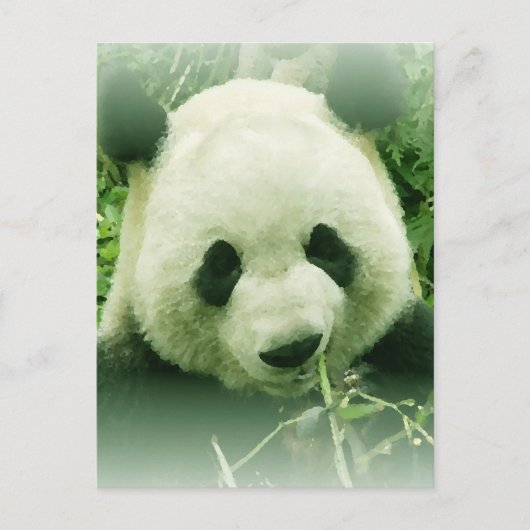 Carte Postale Panda (Devant)