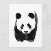 Carte Postale Panda (Devant)