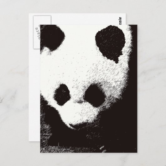 Carte Postale Panda (Devant / Derrière)