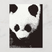 Carte Postale Panda (Devant)