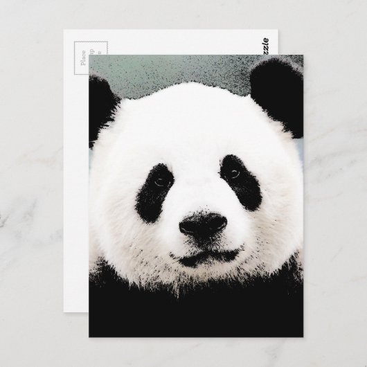 Carte Postale Panda (Devant / Derrière)
