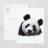 Carte Postale Panda (Devant / Derrière)