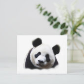 Carte Postale Panda (Debout devant)