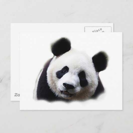 Carte Postale Panda (Devant / Derrière)