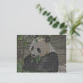 CARTE POSTALE PANDA (Debout devant)