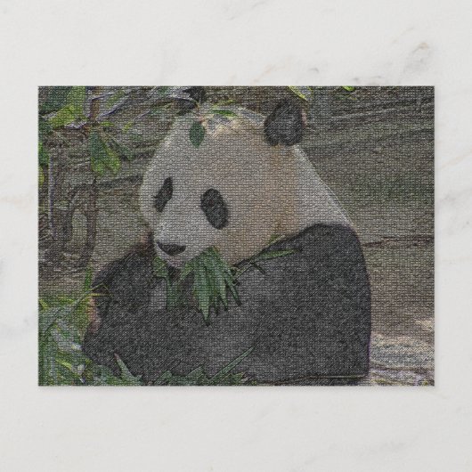 CARTE POSTALE PANDA (Devant)