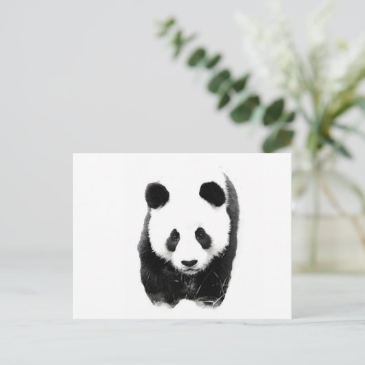Carte Postale Panda (Debout devant)