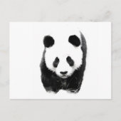 Carte Postale Panda (Devant)