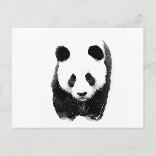 Carte Postale Panda (Devant)