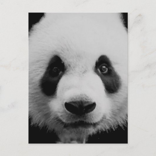 Carte Postale Panda (Devant)