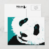 Carte Postale panda. (Devant / Derrière)