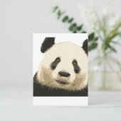 CARTE POSTALE PANDA 2 (Debout devant)