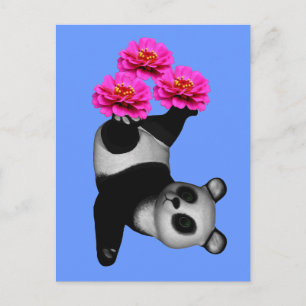 Carte Postale Panda Bear Et Rose Zinnia
