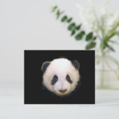 Carte Postale Panda bébé (Debout devant)