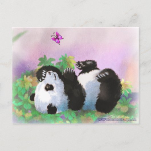 Carte Postale Panda bébé (Devant)