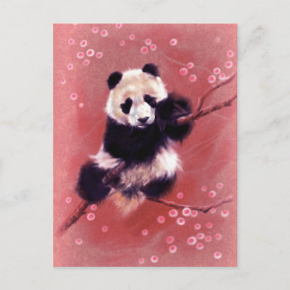 Carte Postale Panda Blossom