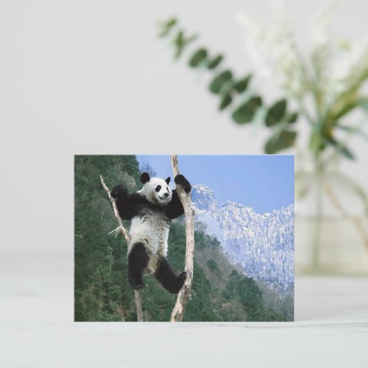 Carte Postale Panda Coincée Dans L'Arbre (Debout devant)