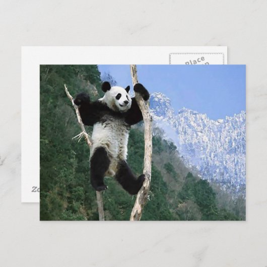 Carte Postale Panda Coincée Dans L'Arbre (Devant / Derrière)