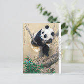 Carte Postale panda cool chine mignonne douce et moelleuse (Debout devant)