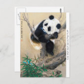 Carte Postale panda cool chine mignonne douce et moelleuse (Devant / Derrière)