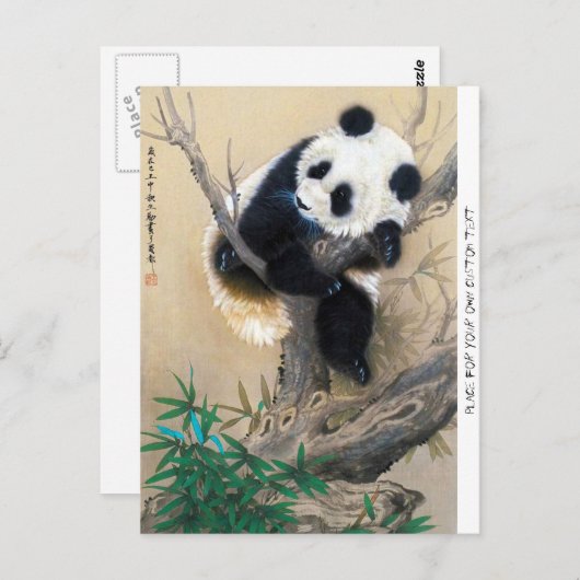 Carte Postale panda cool chine mignonne douce et moelleuse (Devant / Derrière)