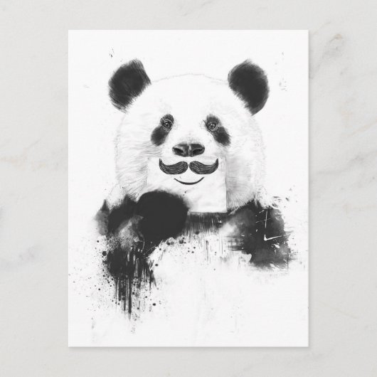 Carte Postale Panda drôle (Devant)