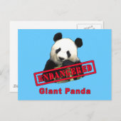 Carte Postale Panda géant EN DANGER (Devant / Derrière)