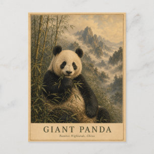Carte Postale Panda Hauts Plateaux de Bambou Chine VINTAGE