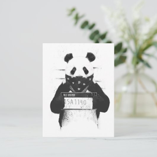 Carte Postale Panda incorrecte (Debout devant)
