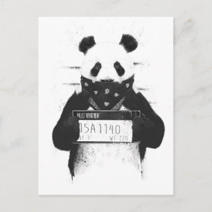 Carte Postale Panda incorrecte