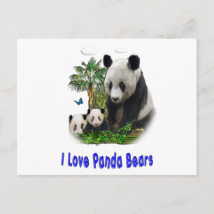 Carte Postale Panda Love art
