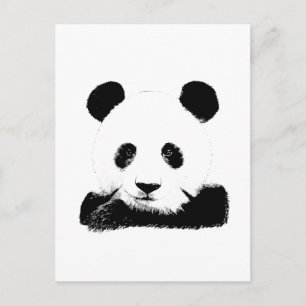 Carte Postale Panda Peeks Out